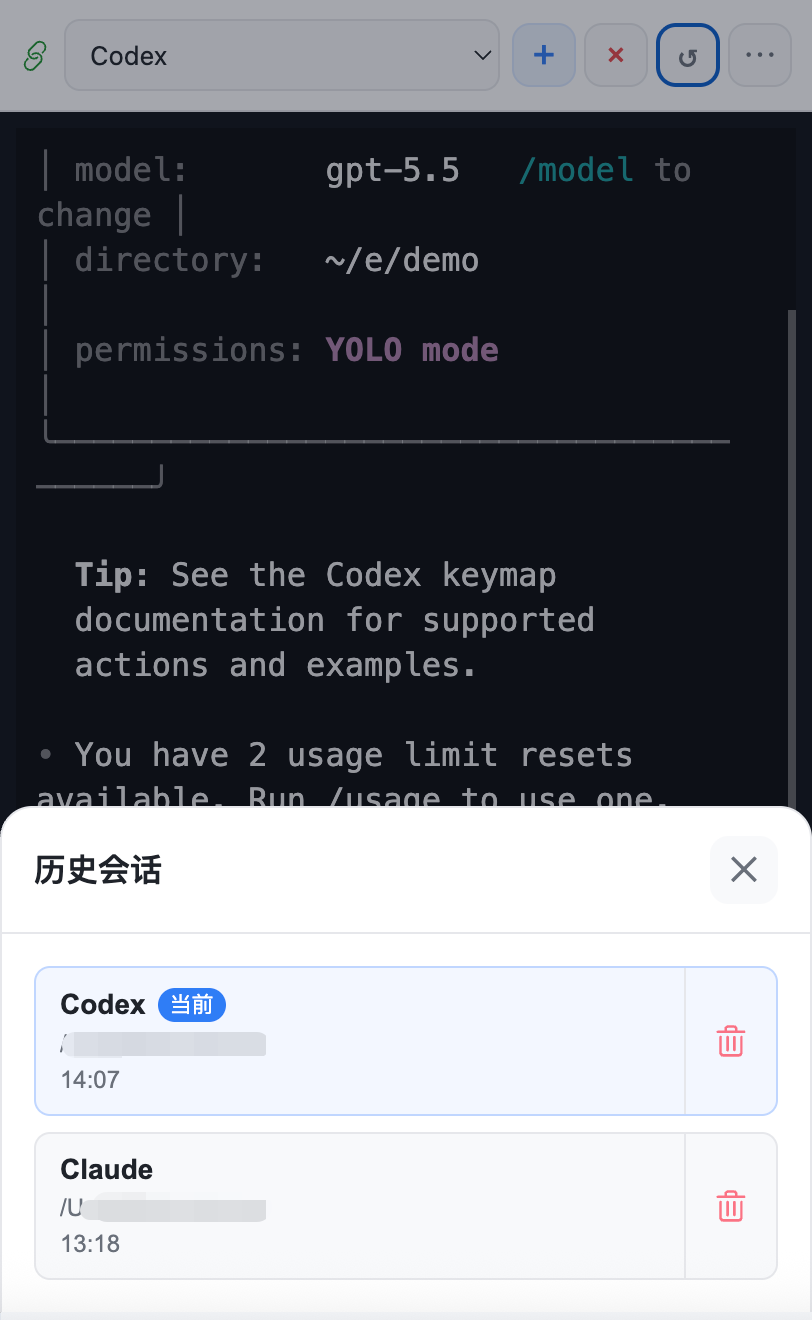 多 session 管理：Codex 和 Claude 并行运行